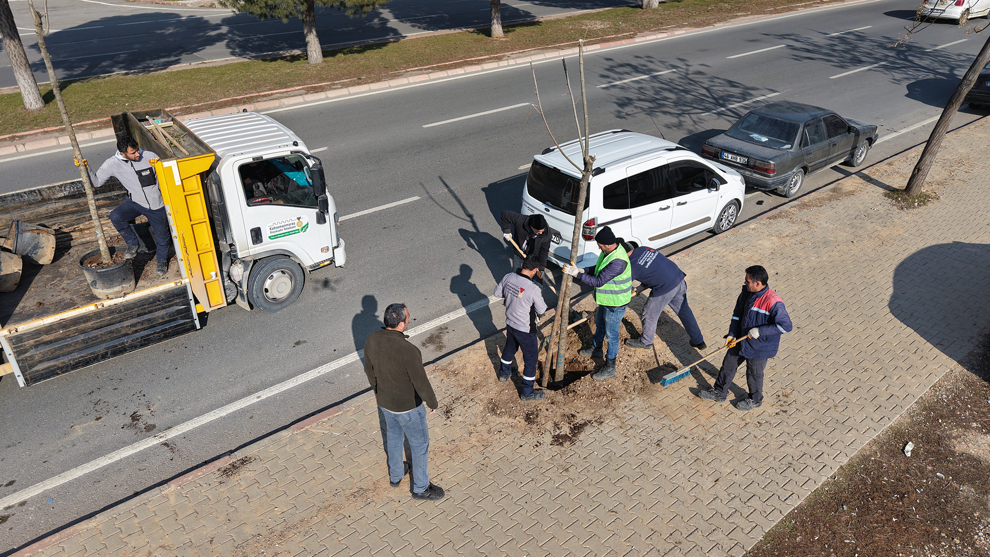 Büyükşehir Belediyesi, şehir merkezinde zamanla kuruyan, doğal ömrünü tamamlayan ya