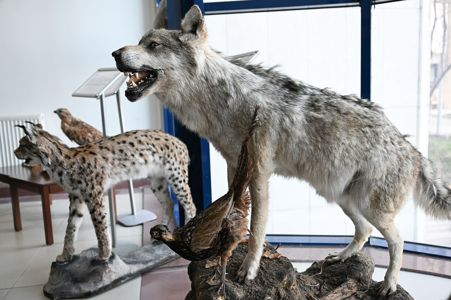 Kahramanmaraş Sütçü İmam Üniversitesi (KSÜ) ve Doğa Koruma ve Milli