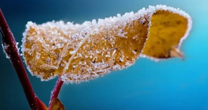 Meteoroloji Genel Müdürlüğü 6. Bölge Müdürlüğü, Kahramanmaraş ve çevre iller