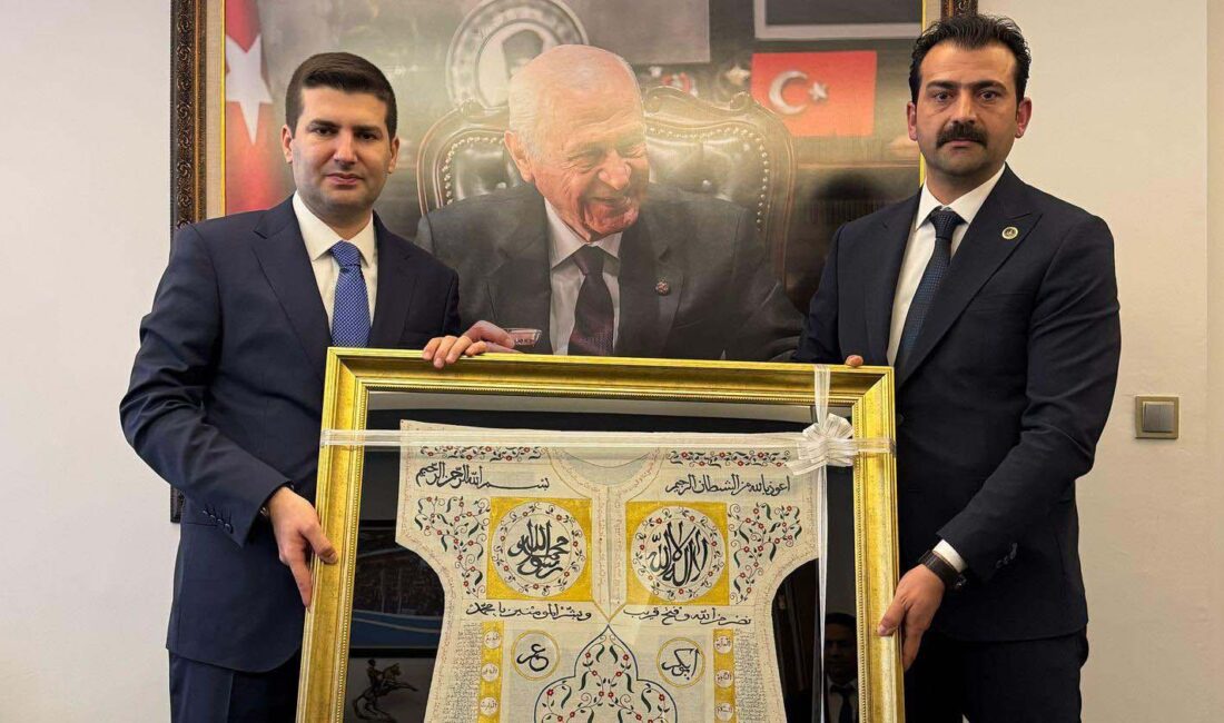 Ülkü Ocakları Kahramanmaraş İl Başkanı Ali Rıza Gedemenli, Ülkü Ocakları