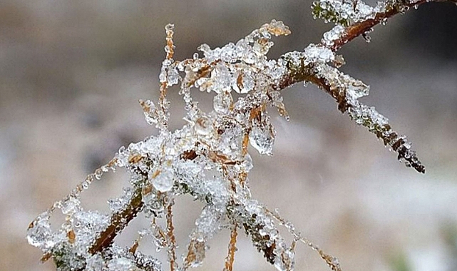 Meteoroloji yetkilileri, Kahramanmaraş’ta bu gece saatlerinden itibaren hafif zirai don