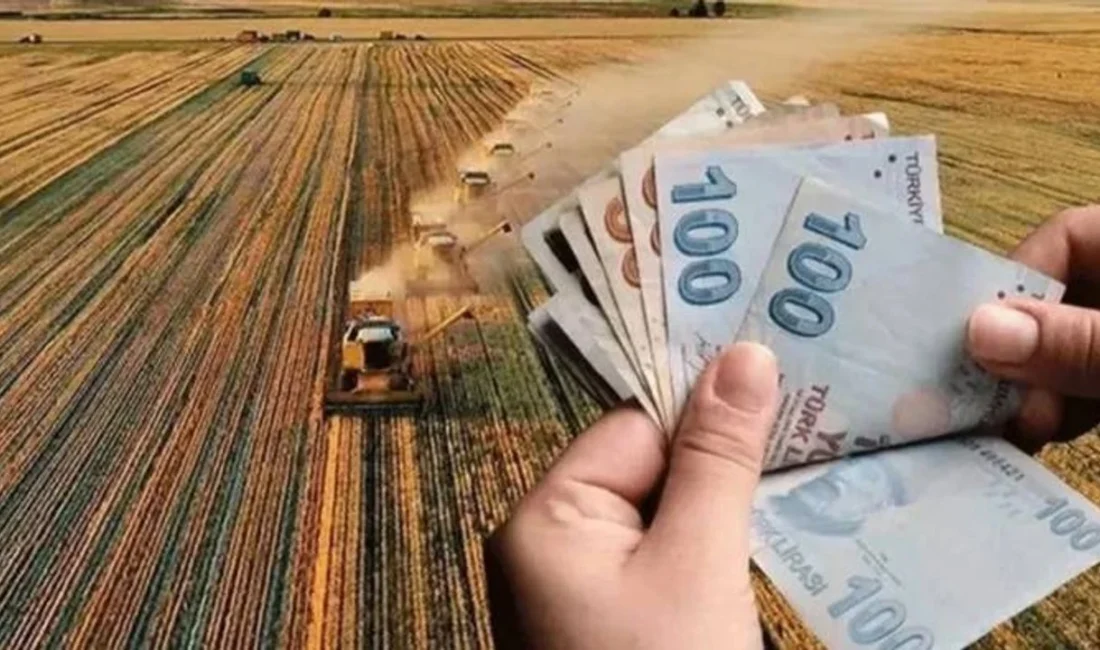 Tarım ve Orman Bakanlığı, Kahramanmaraşlı çiftçilere yönelik hububat fark ödemeleri