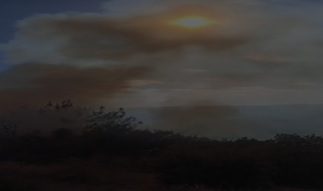 Kahramanmaraş’ın Andırın ilçesinde ormanlık alanda çıkan yangın, ekiplerin hızlı müdahalesi