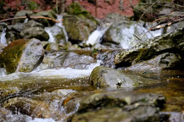 Kahramanmaraş merkezli 6 Şubat depremleri, Türkiye'nin bilim dünyasını harekete geçirdi.