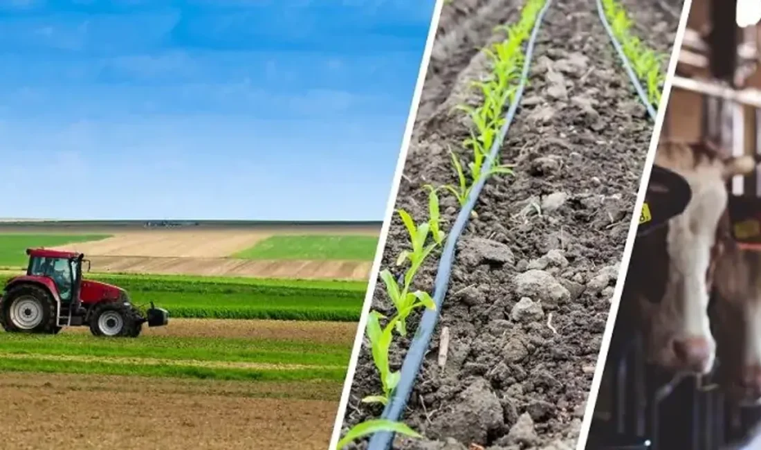 Tarım ve Orman Bakanlığı, kırsal kalkınma hamlesine hız kesmeden devam