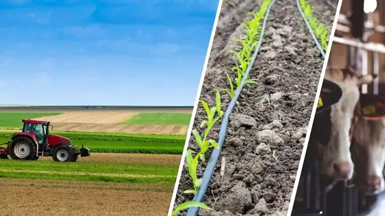 Tarım ve Orman Bakanlığı, kırsal kalkınma hamlesine hız kesmeden devam