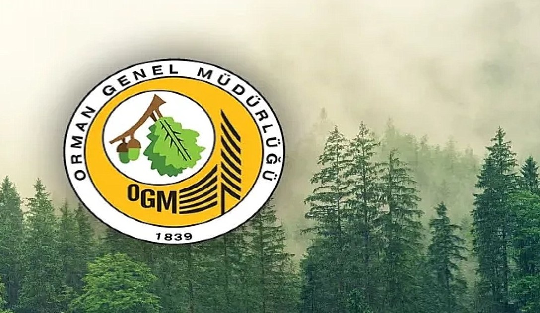 Kahramanmaraş'ta, Orman Genel Müdürlüğü (OGM) geçici işçi alım ilanı yayınladı.