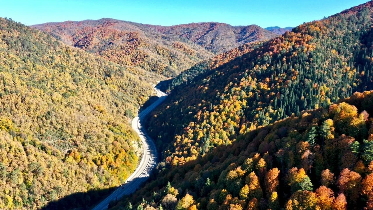 Kahramanmaraş'ta orman sınırlarıyla ilgili değişiklik yaşandı.