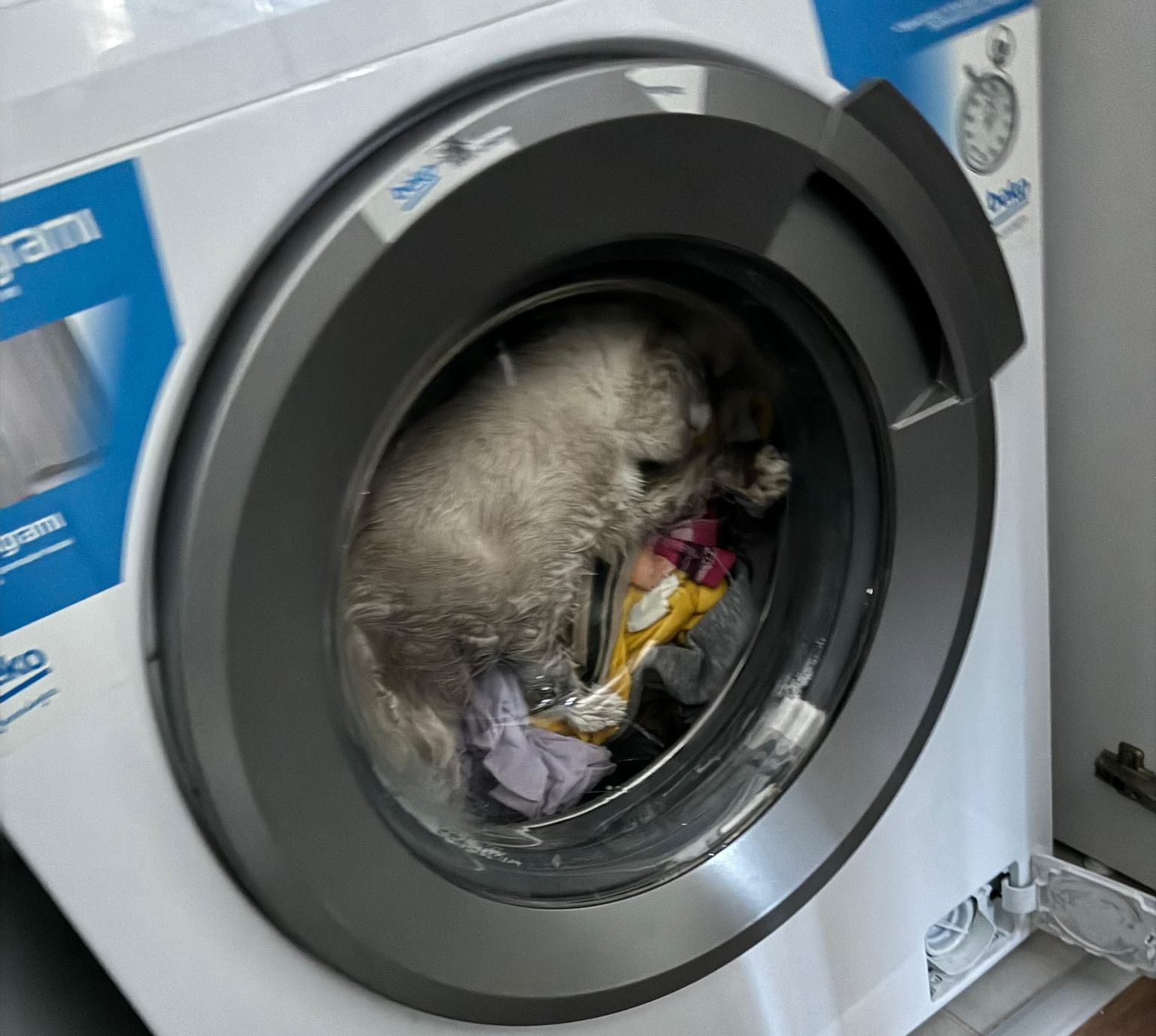 Kahramanmaraş’ta yaşanan sıra dışı olay yürekleri ağza getirdi. Merakına yenik