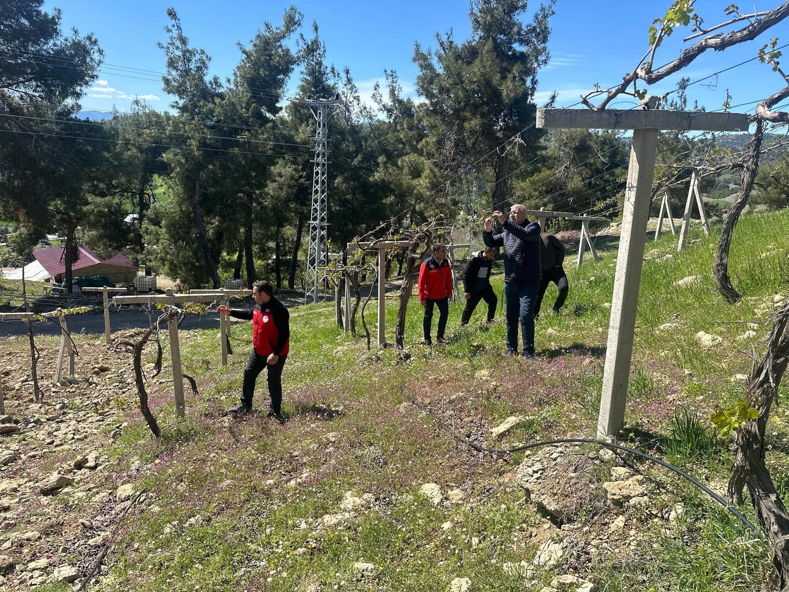 Geçtiğimiz günlerde yaşanan aşırı soğuk hava ve don olayı, birçok