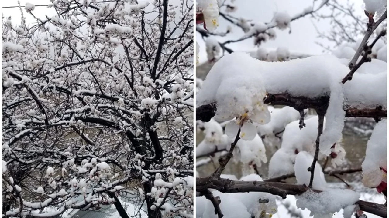 Meteoroloji yetkilileri, Kahramanmaraş için zirai don tehlikesi uyarısında bulundu.