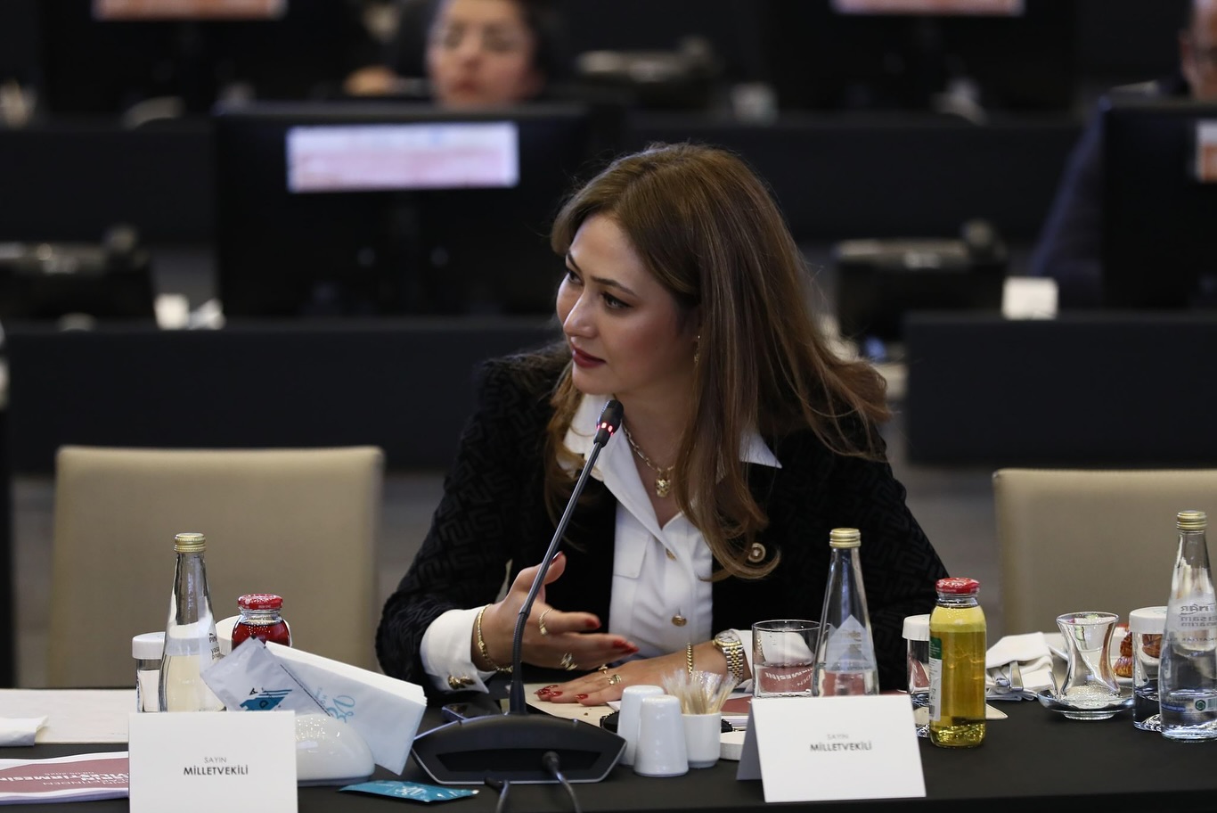 Milliyetçi Hareket Partisi (MHP) Kahramanmaraş Milletvekili Zuhal Karakoç Dora, İçişleri