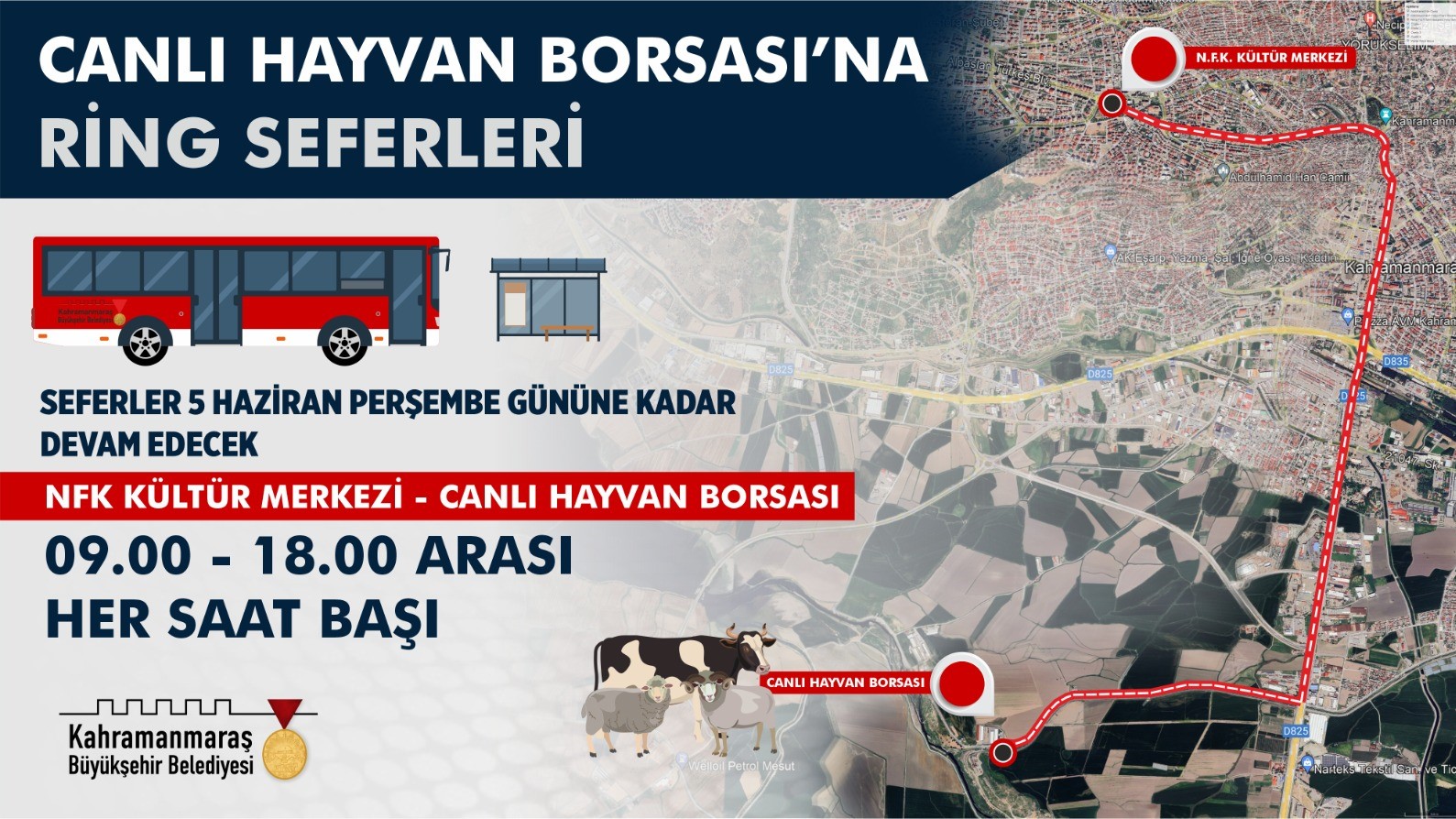 Büyükşehir Belediyesi, kurbanlık alışverişi yapacak vatandaşların Canlı Hayvan Borsası’na ulaşımını