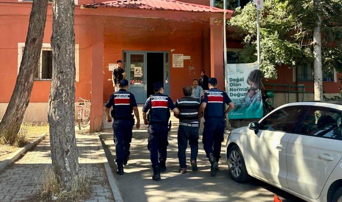 Kahramanmaraş'ın Göksun ilçesinde, 11 Ağustos'ta çıkan orman yangınıyla ilgili yürütülen