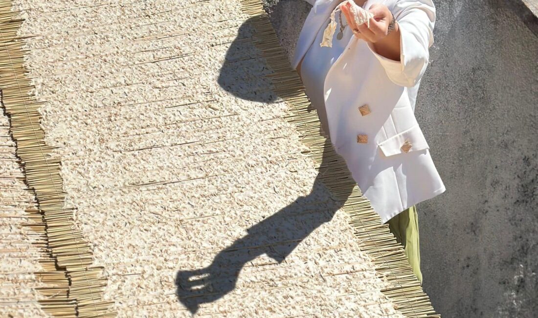 MHP Kahramanmaraş Milletvekili Zuhal Karakoç, kentin simgesi haline gelen Kahramanmaraş