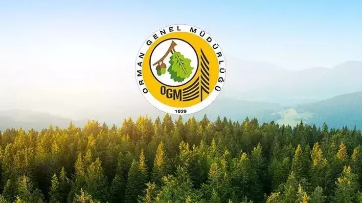 Orman Genel Müdürlüğü (OGM), taşra teşkilatında istihdam edilmek üzere toplam
