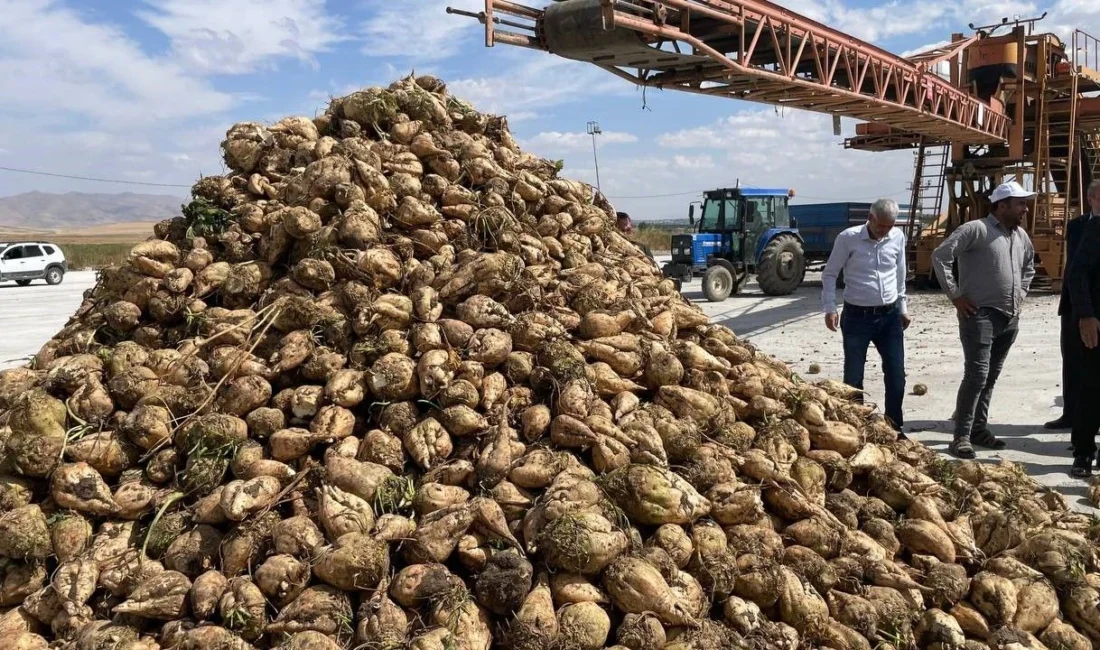Kahramanmaraş ve bölge üreticilerinin merakla beklediği haber Tarım ve Orman