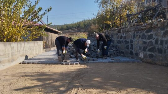 Kahramanmaraş Dulkadiroğlu Belediyesi Fen İşleri Müdürlüğü ekipleri, Çokyaşar Mahallesi Dede
