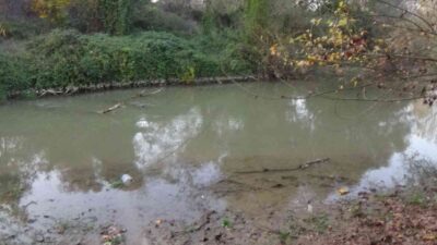 Kahramanmaraş'ın Elbistan ilçesinde iki gündür kayıp olarak aranan 85 yaşındaki