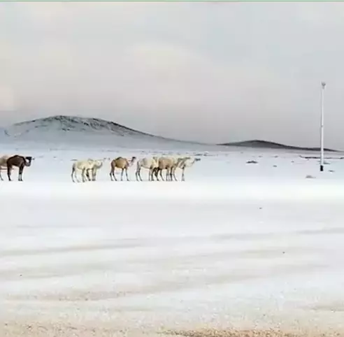 Sıcak iklimi ve çöl manzaralarıyla bilinen Suudi Arabistan’dan gelen görüntüler,