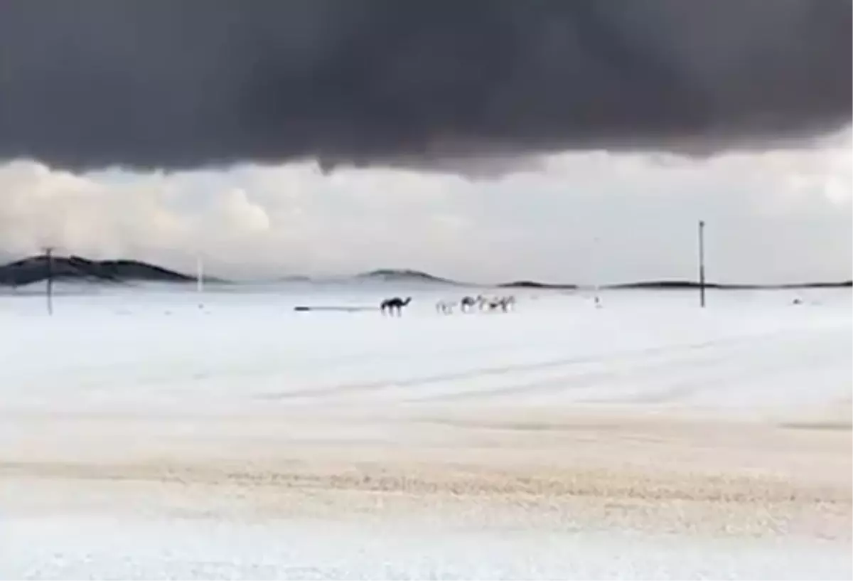 arabistan a kar yagdi 2