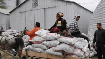 2026 yılında ihtiyaç sahibi hanelere yönelik kömür yardımı yapılmasına ilişkin