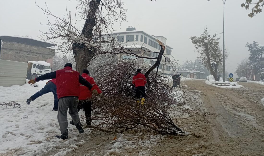 Büyükşehir Belediyesi, kar yağışı neticesinde zarar gören ağaç dallarının oluşturabileceği