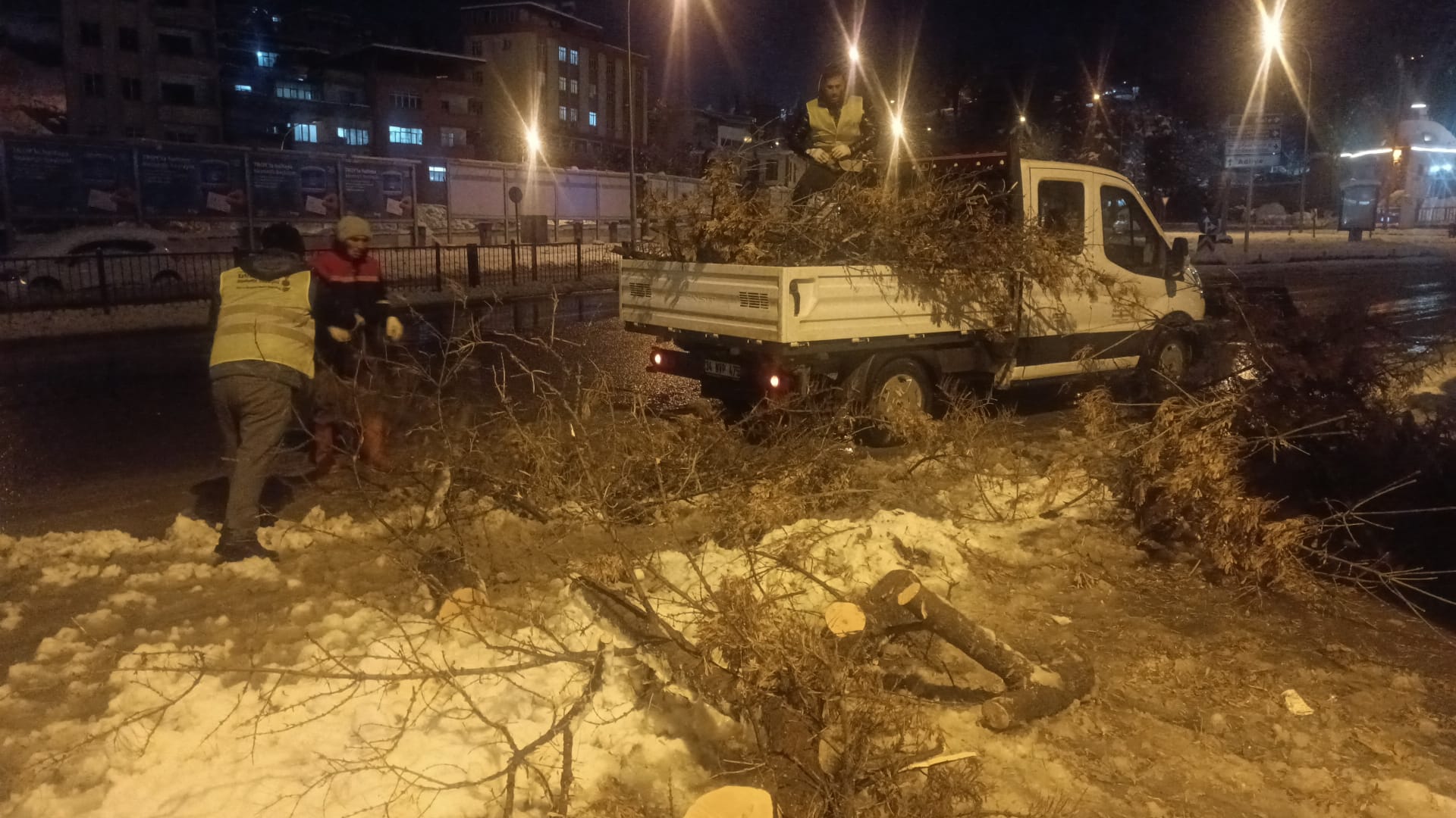 Kahramanmaraş Büyükşehirden Kırılan Dallara Anında Müdahale! 2 Agac Budama 8