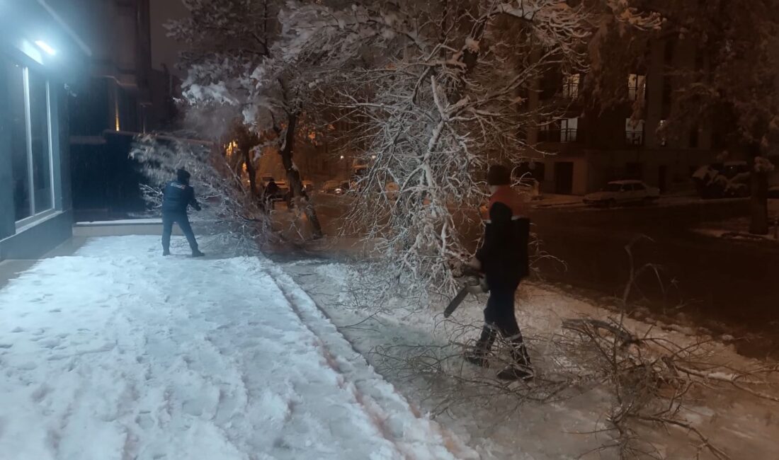 Büyükşehir Belediyesi, yoğun kar yağışı nedeniyle kırılan ağaç dallarını titizlikle