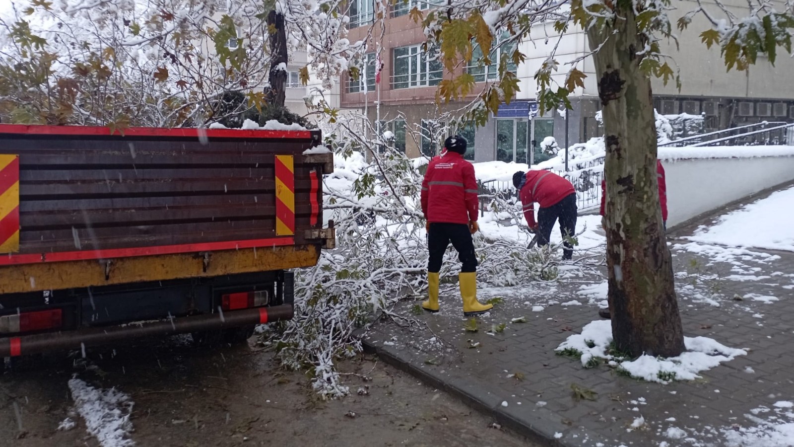 Yoğun Kar Yağışıyla Kırılan Ağaç Dallarına Hızlı Müdahale! 1 Karla Mucadele 6