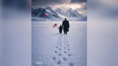 Sosyal medya platformlarında son günlerde hızla yayılan bir penguen videosu,