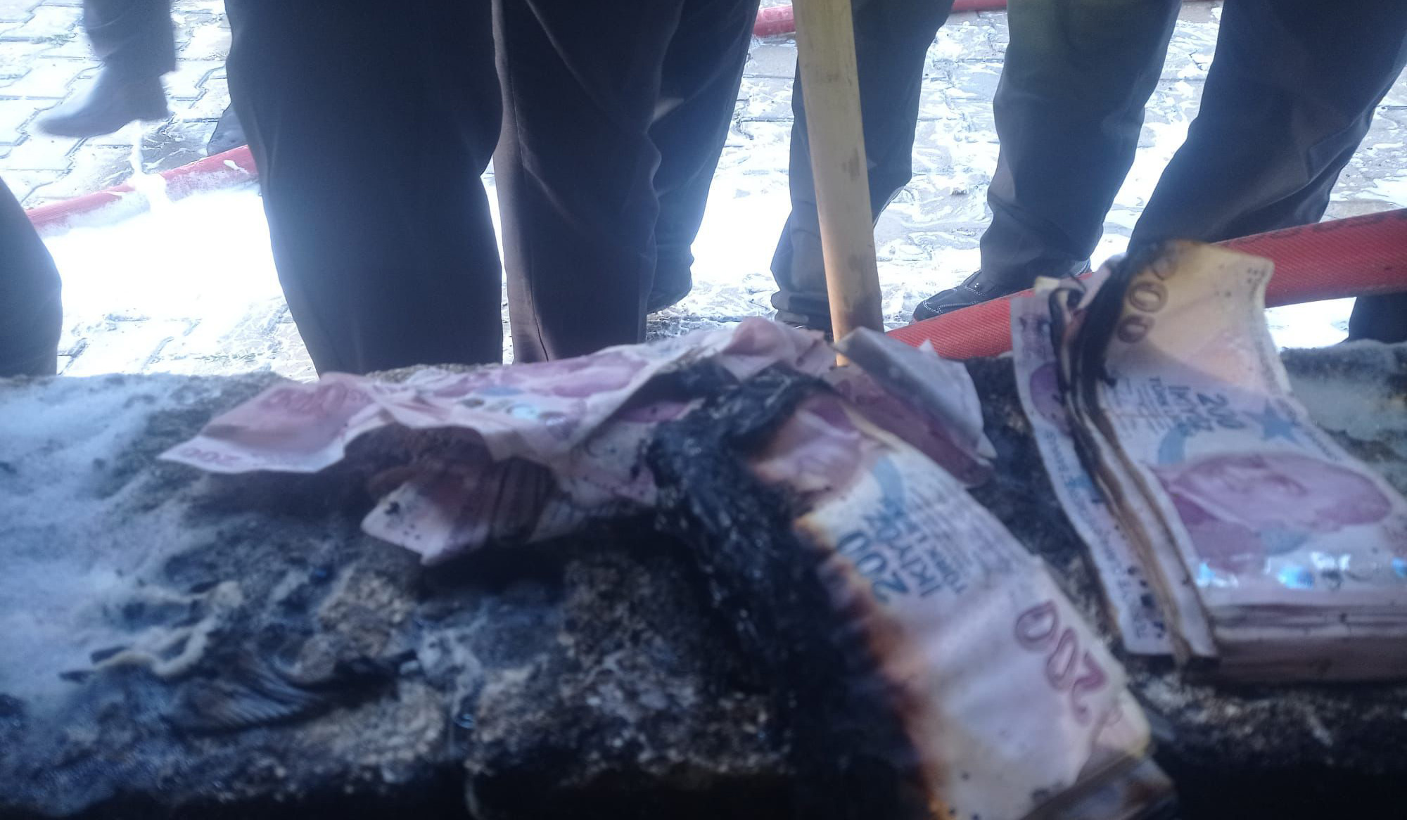 8ef75a4a c012 4559 93f2 f6f48c7ac428