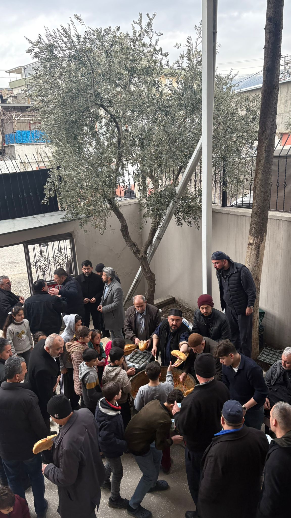 WhatsApp Image 2026 02 06 at 14.56.21