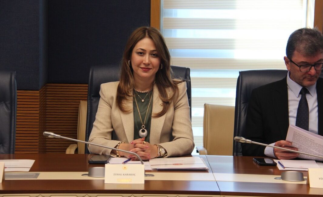 Milliyetçi Hareket Partisi (MHP) Kahramanmaraş Milletvekili ve AB Uyum Komisyonu