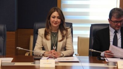 Milliyetçi Hareket Partisi (MHP) Kahramanmaraş Milletvekili ve AB Uyum Komisyonu