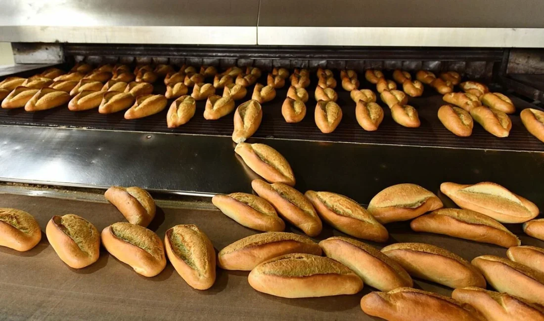 Elbistan Belediyesi bünyesinde faaliyet gösteren Halk Ekmek Fabrikası’nda istihdam edilmek