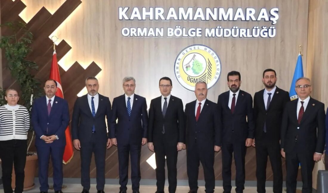 Milliyetçi Hareket Partisi (MHP) Kahramanmaraş İl Teşkilatı, kentteki önemli kamu