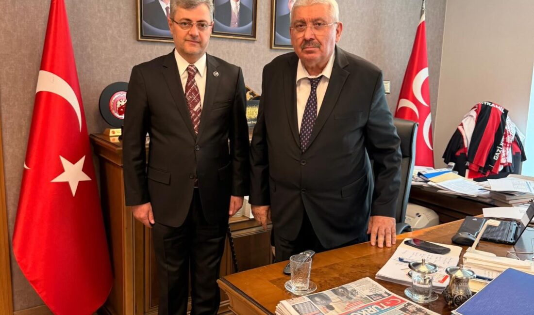 Milliyetçi Hareket Partisi Kahramanmaraş İl Başkanı Mansur Metehan, parti genel