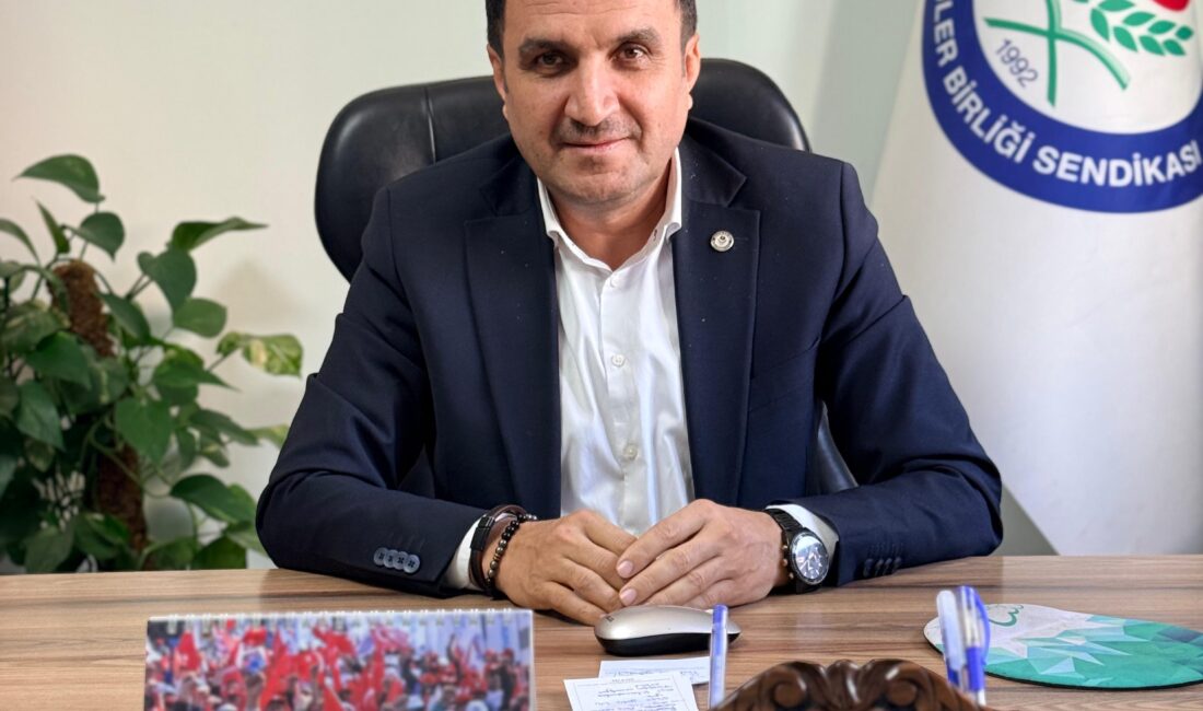 Mehmet Çetin yazdı; “Bir Öğretmenin Kahramanlık Hikayesi: Ayla Kara…”