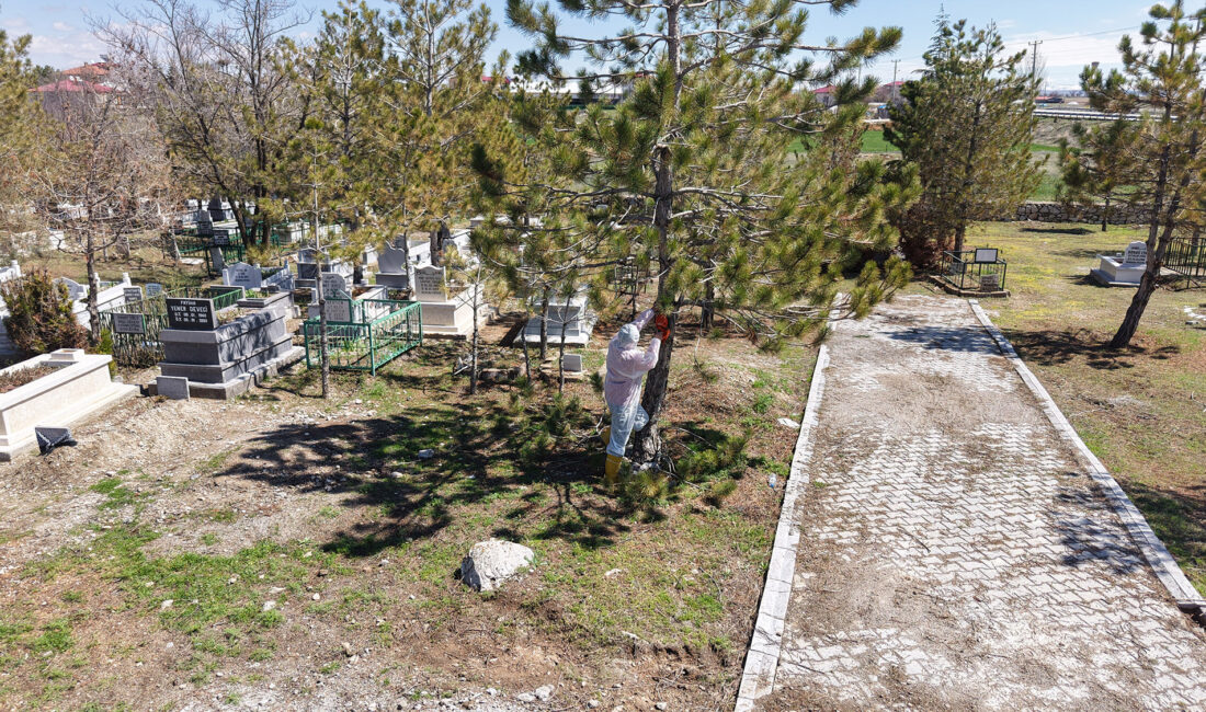 Büyükşehir Belediyesi, kuzey ilçelerde bulunan toplam 736 mezarlık alanında kapsamlı