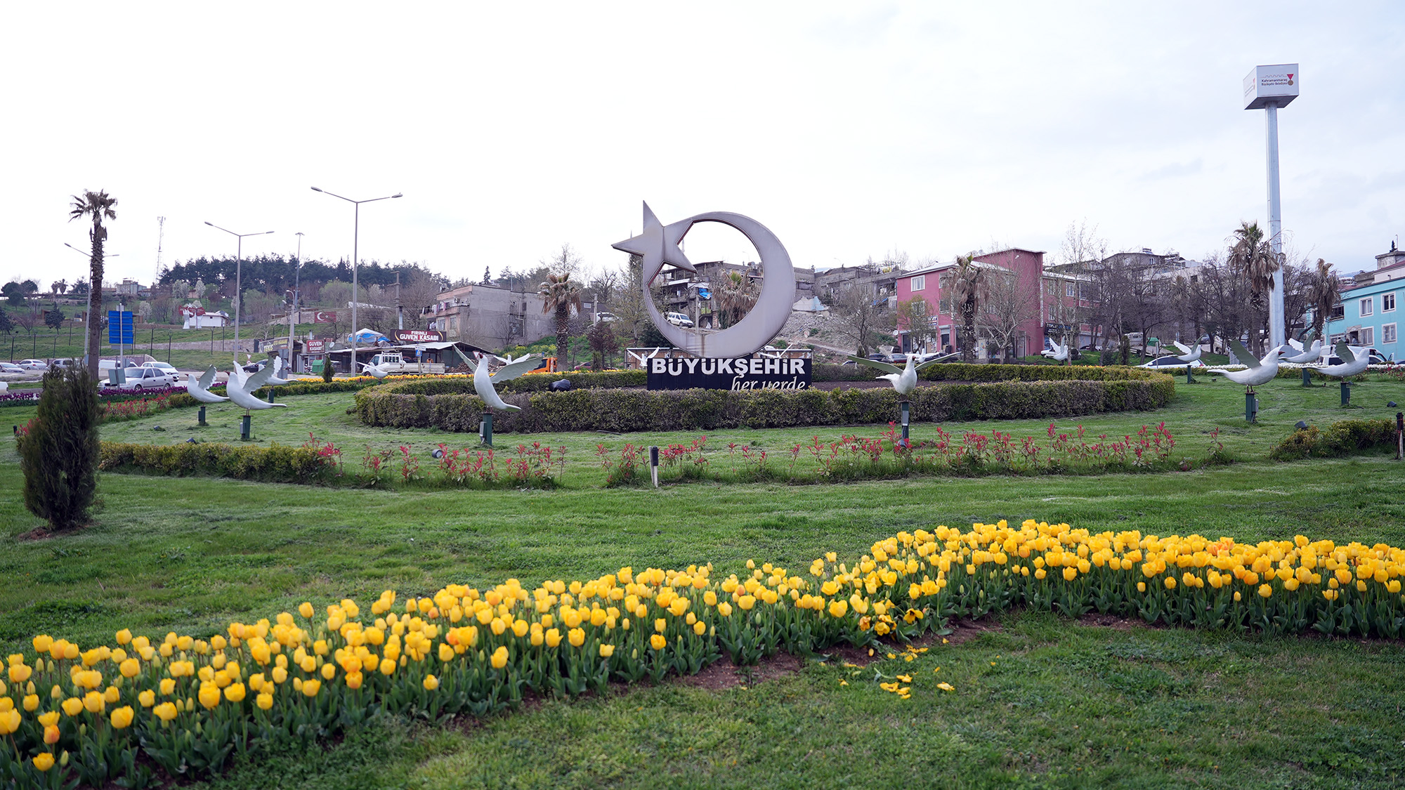 Peyzaj 6
