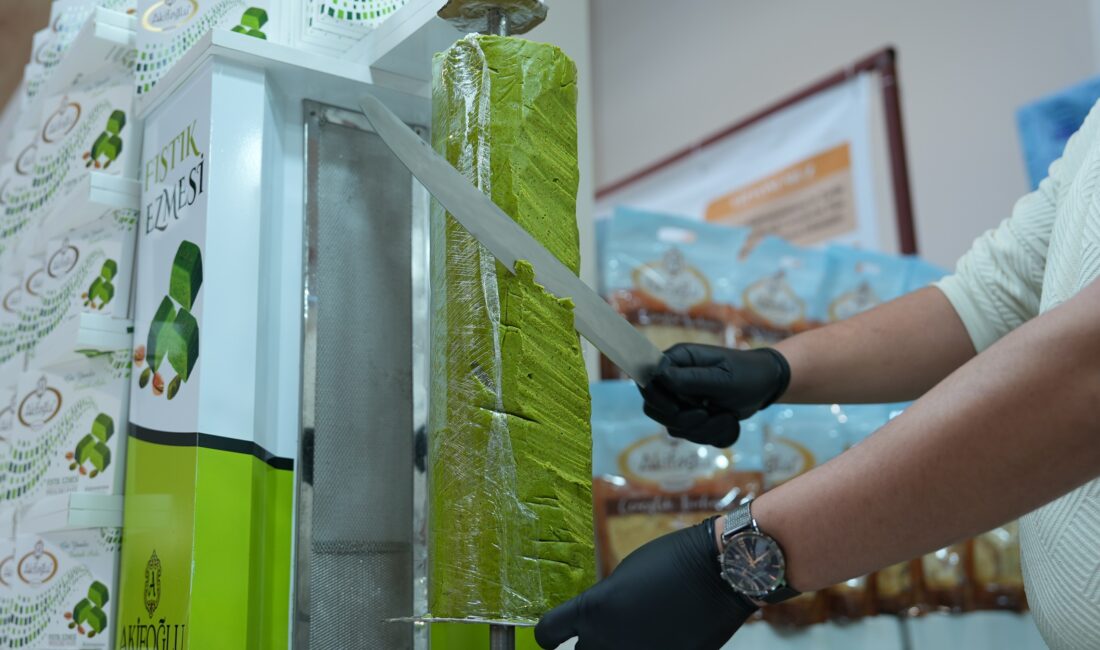 Büyükşehir Belediyesi öncülüğünde İstanbul’da düzenlenen Kahramanmaraş Tanıtım Günleri, dört gün