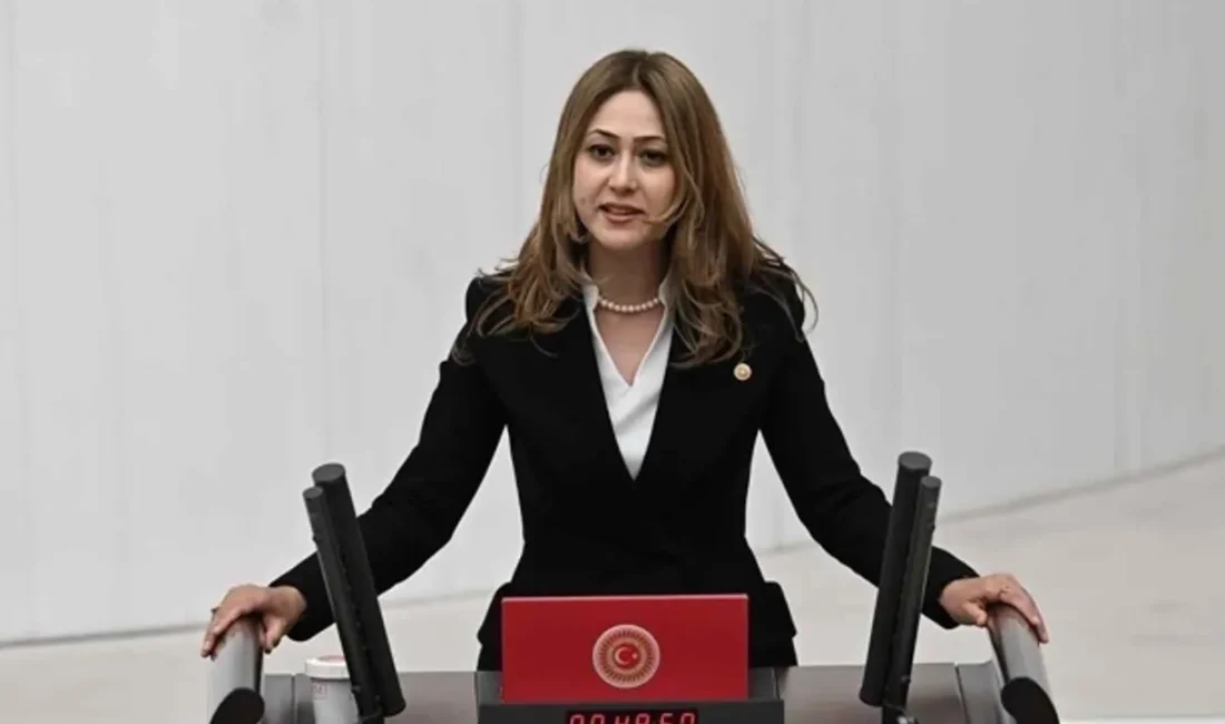 MHP Kahramanmaraş Milletvekili ve TBMM Avrupa Birliği (AB) Uyum Komisyonu