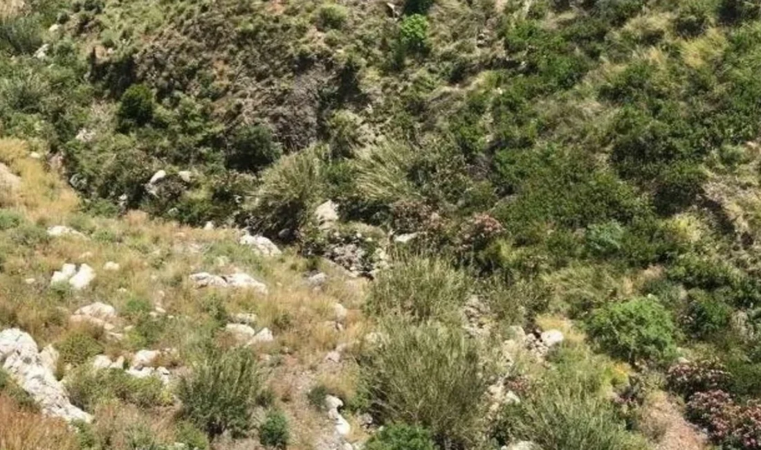 Kahramanmaraş’ın Andırın ilçesi, baharın gelmesiyle doğaya çıkan bir vatandaşın yaşamını