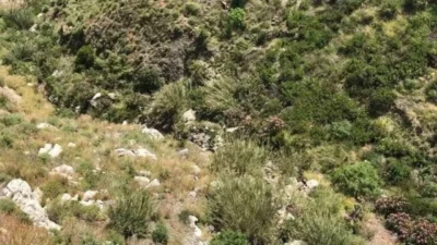 Kahramanmaraş’ın Andırın ilçesi, baharın gelmesiyle doğaya çıkan bir vatandaşın yaşamını