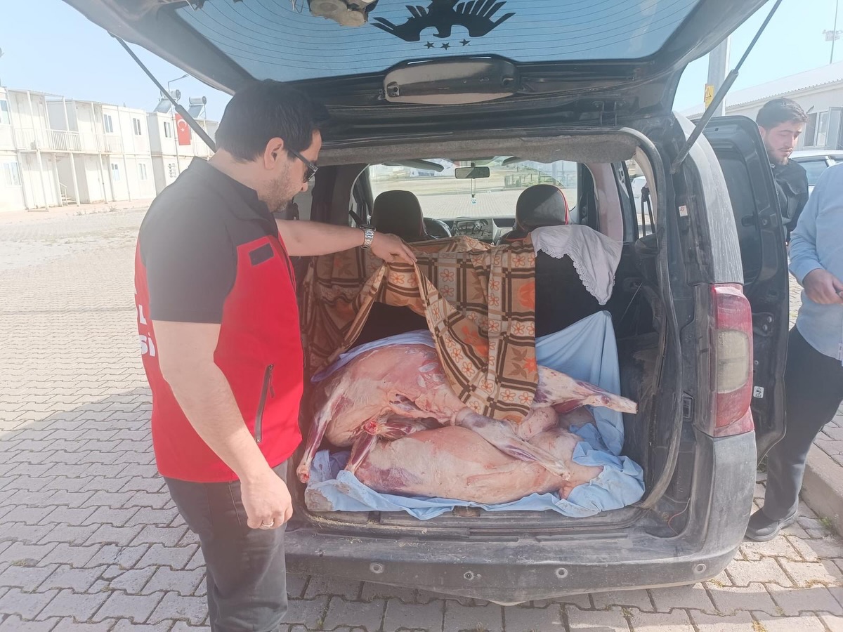 Kahramanmaraş’ta Denetimlerde Ele Geçirilen Karkas Et İmha Edildi 2 696871208 18170300713410766 7183518956324484674 n