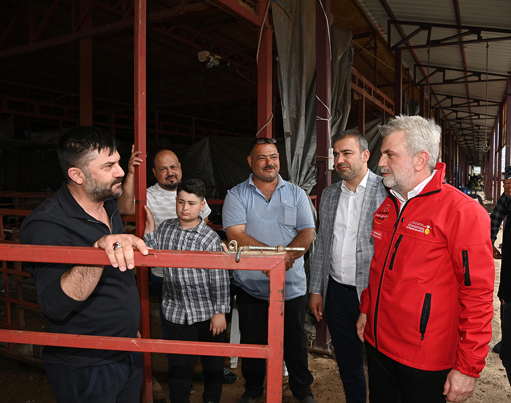 Başkan Görgel: “Bayramda da Ekiplerimiz Görev Başında” 2 Canli Hayvan Borsasi Ziyareti 11