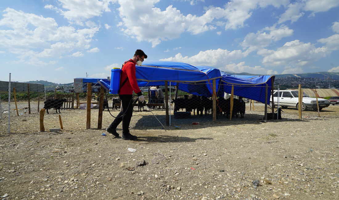 Büyükşehir Belediyesi, Kurban Bayramı süresince çevre temizliği, hayvansal atıkların toplanması,