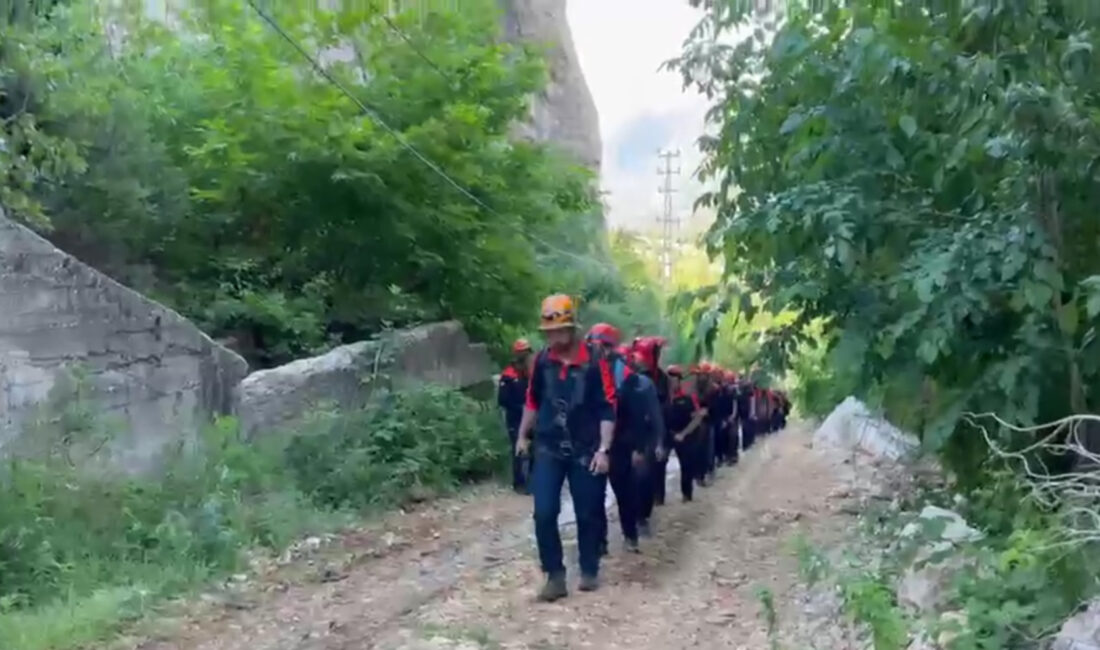 Afet ve Acil Durum Yönetimi Başkanlığı (AFAD) koordinesinde düzenlenen "Dağda