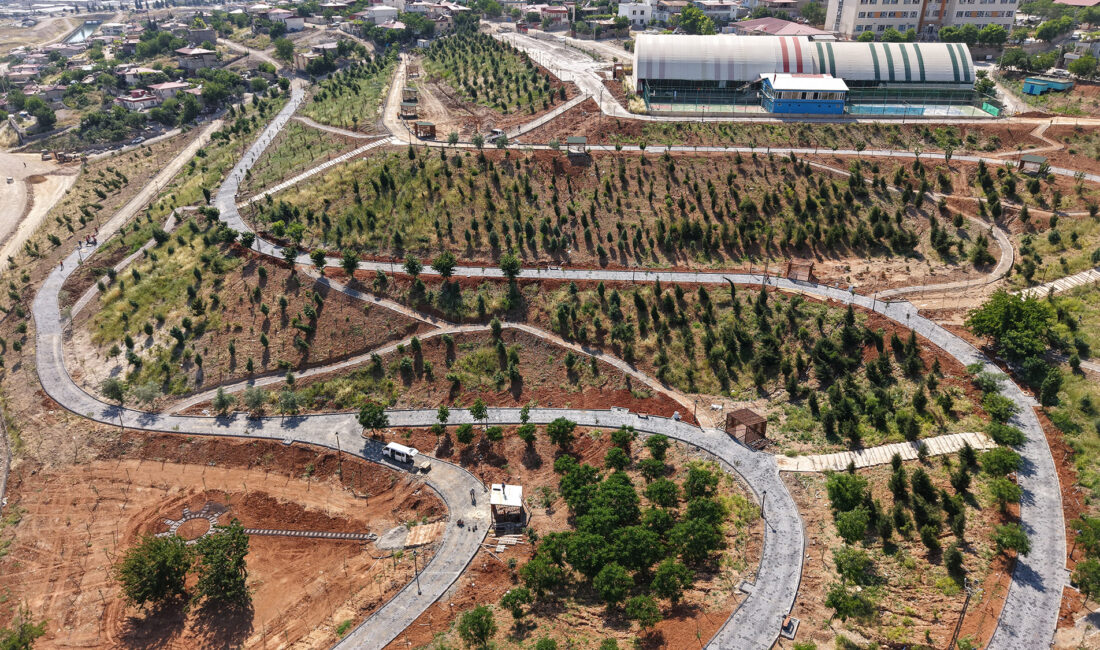 Büyükşehir Belediyesinin çevre ve şehircilik anlayışı prensibi ile Malik Ejder